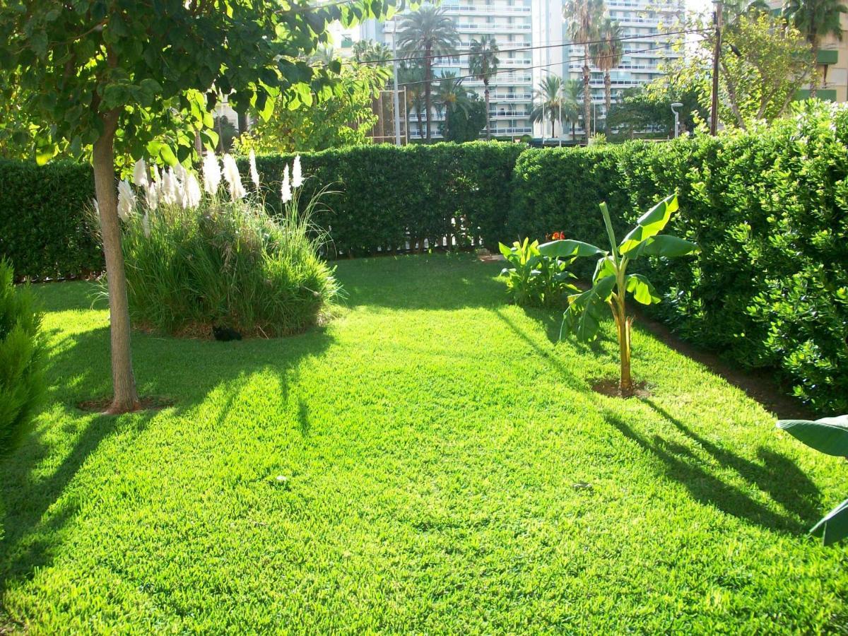 Don Ximo Gandia - Alquiler Solo Familias Apartment Playa de Gandia Ngoại thất bức ảnh